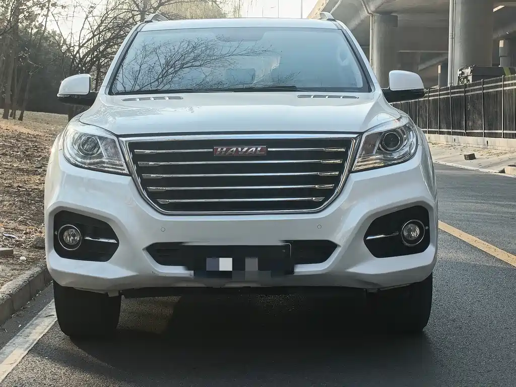 HAVAL H9