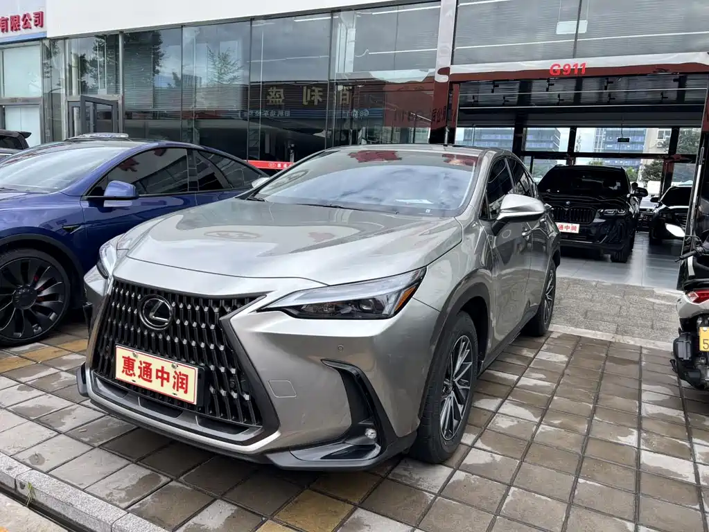 Lexus NX New Energy 2024