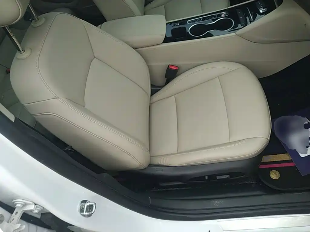 Buick Regal — миниатюра 25