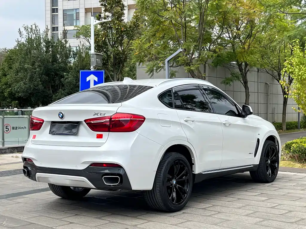BMW X6 — миниатюра 7