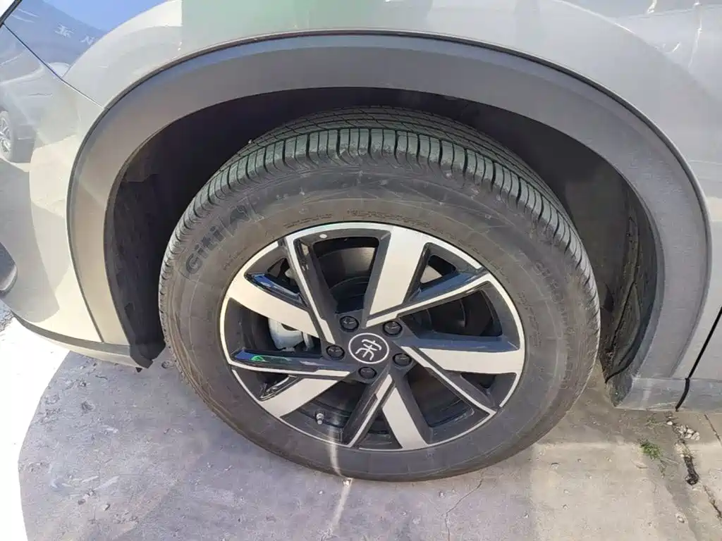 BYD Pro New Energy — миниатюра 23