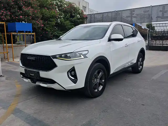 2019 Haval F7