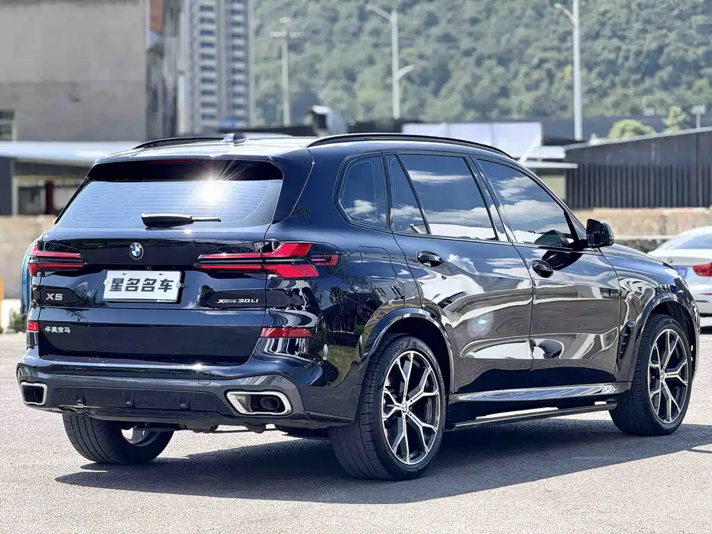BMW X5 — миниатюра 9