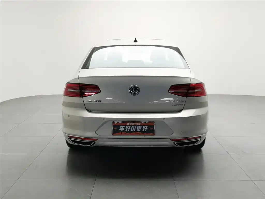 Volkswagen Magotan 2019 330TSI DSG Luxury VI