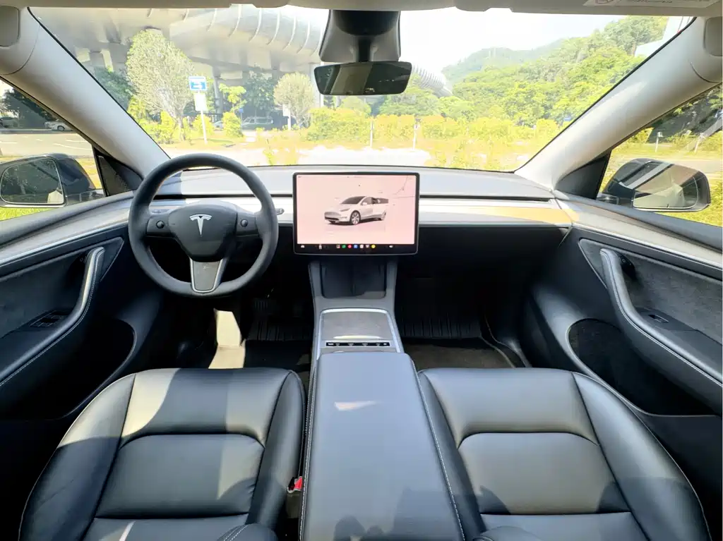 Tesla Model Y — миниатюра 7