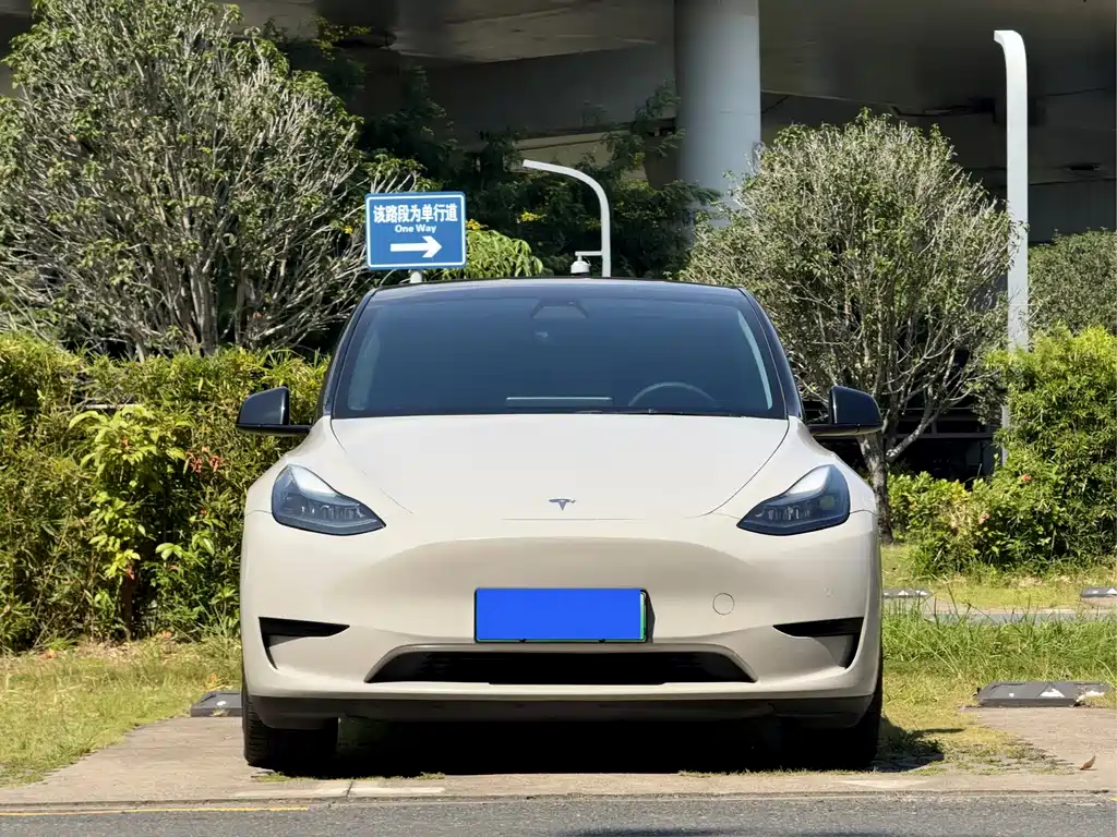Tesla Model Y — миниатюра 2