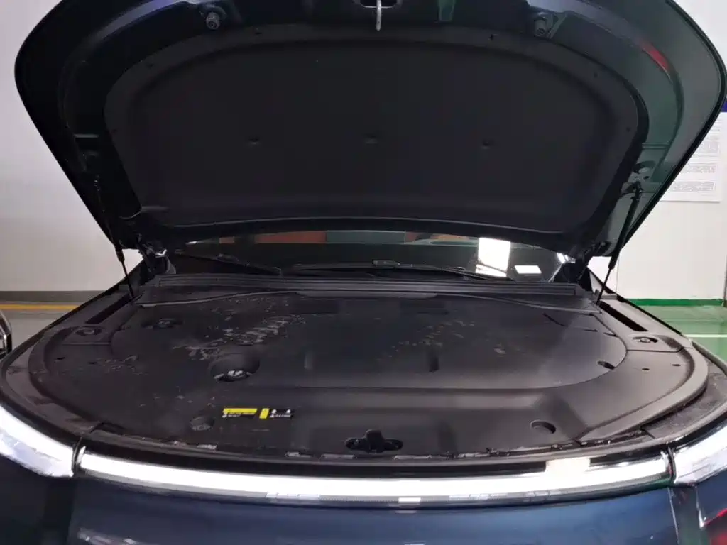 GAC Motor Trumpchi Xiangwang S9 — миниатюра 25