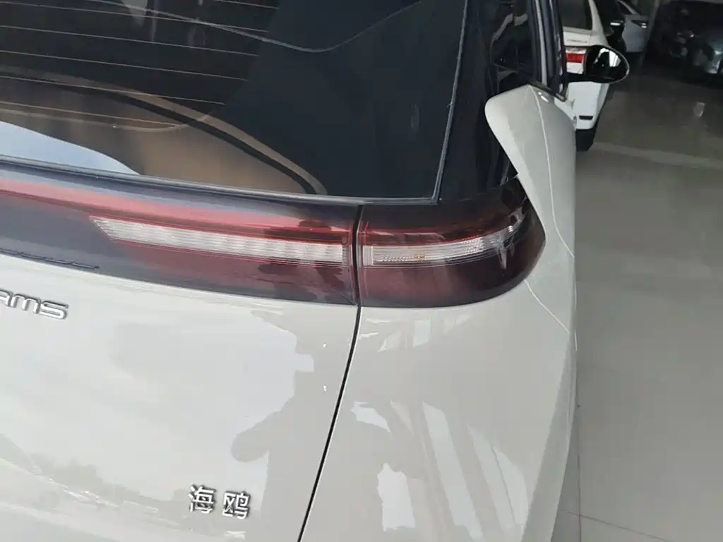 BYD Seagull 2024 305km