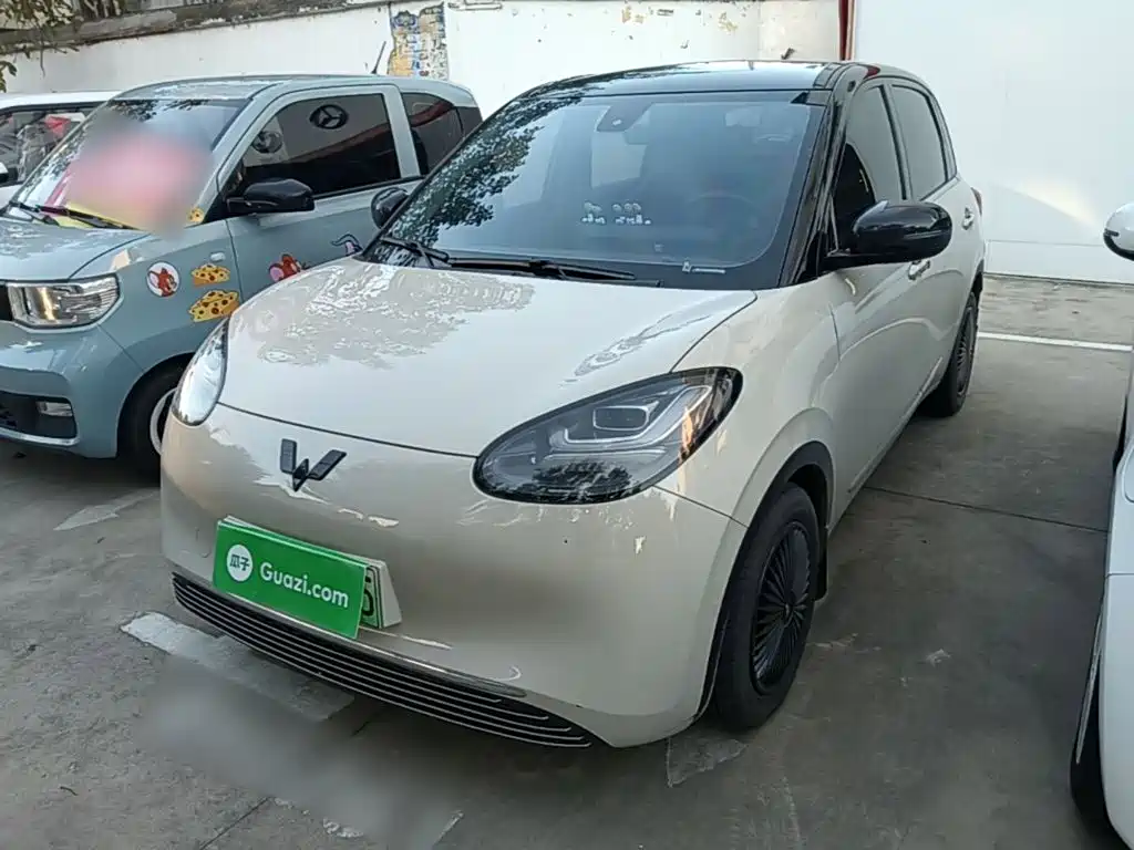 Wuling Bingo