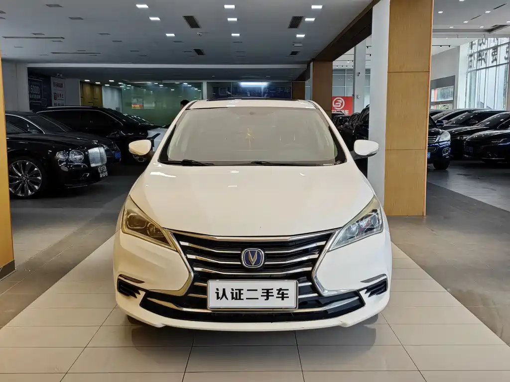 CHANGAN YIDONG DT