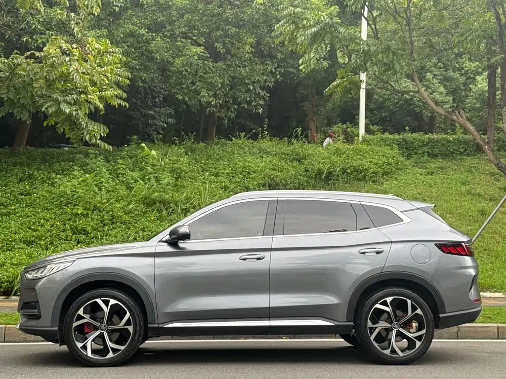 BYD PLUS — миниатюра 3