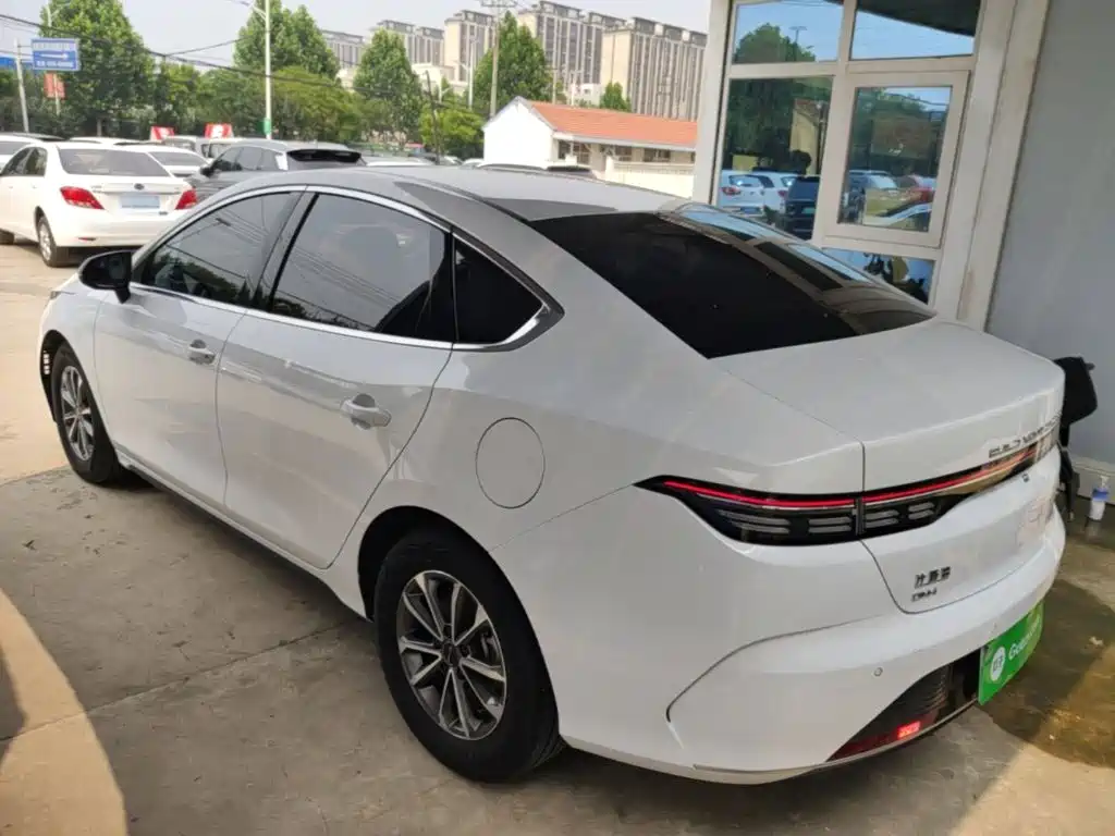 BYD Destroyer 05 2024 DM-i 55KM Luxury