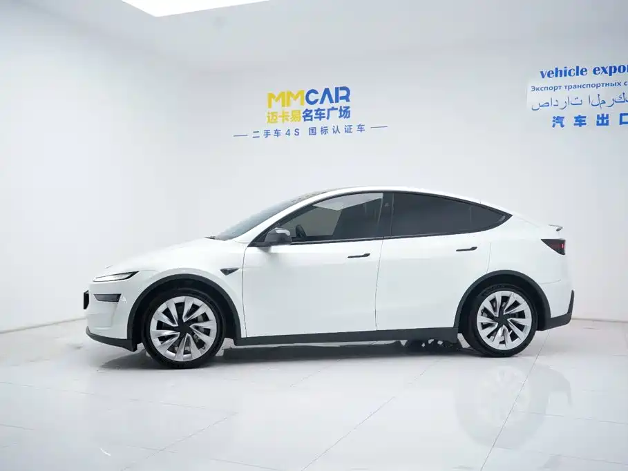 Tesla Model Y — миниатюра 9