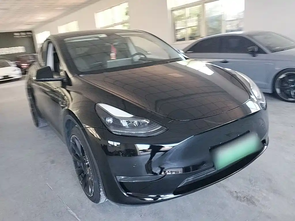 Tesla Model Y — миниатюра 4