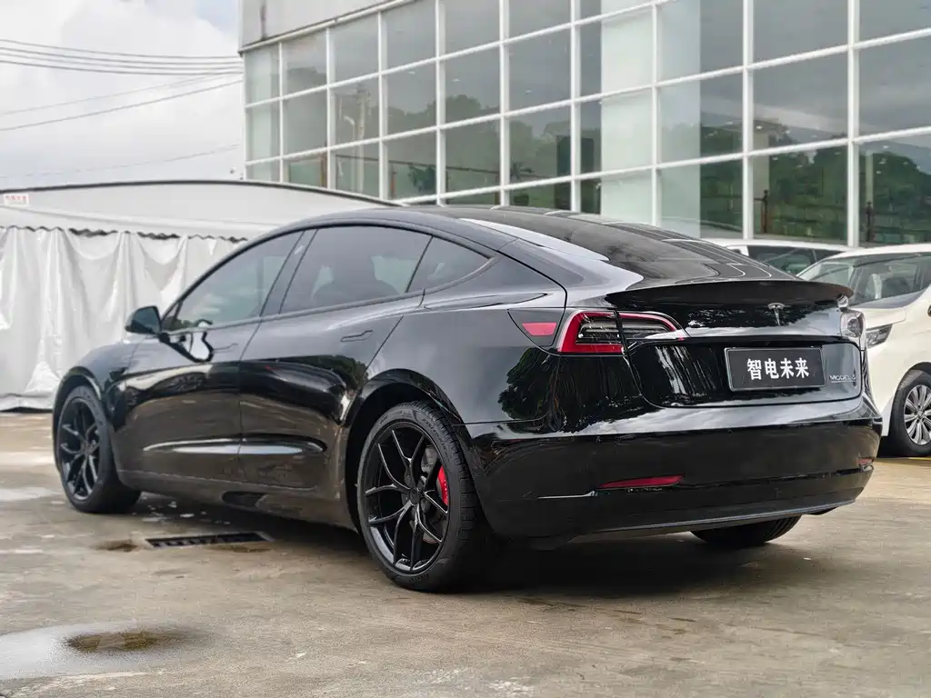 Tesla Model 3 — миниатюра 4