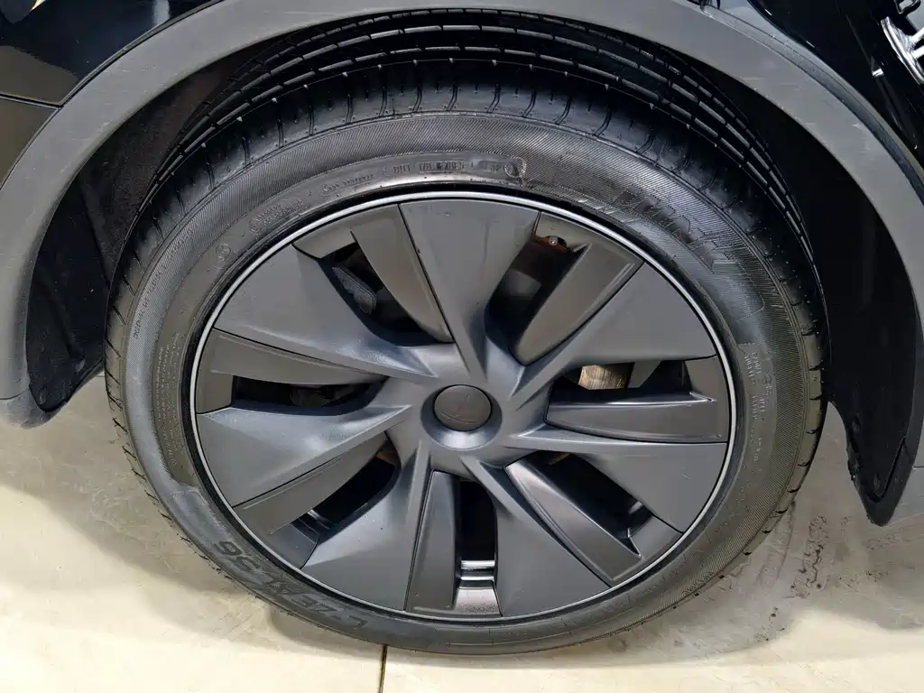 Tesla Model Y — миниатюра 29