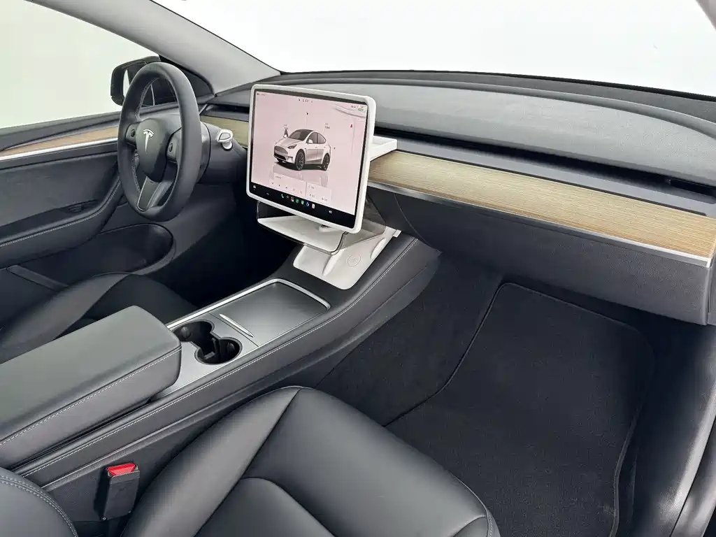 Tesla Model Y — миниатюра 12