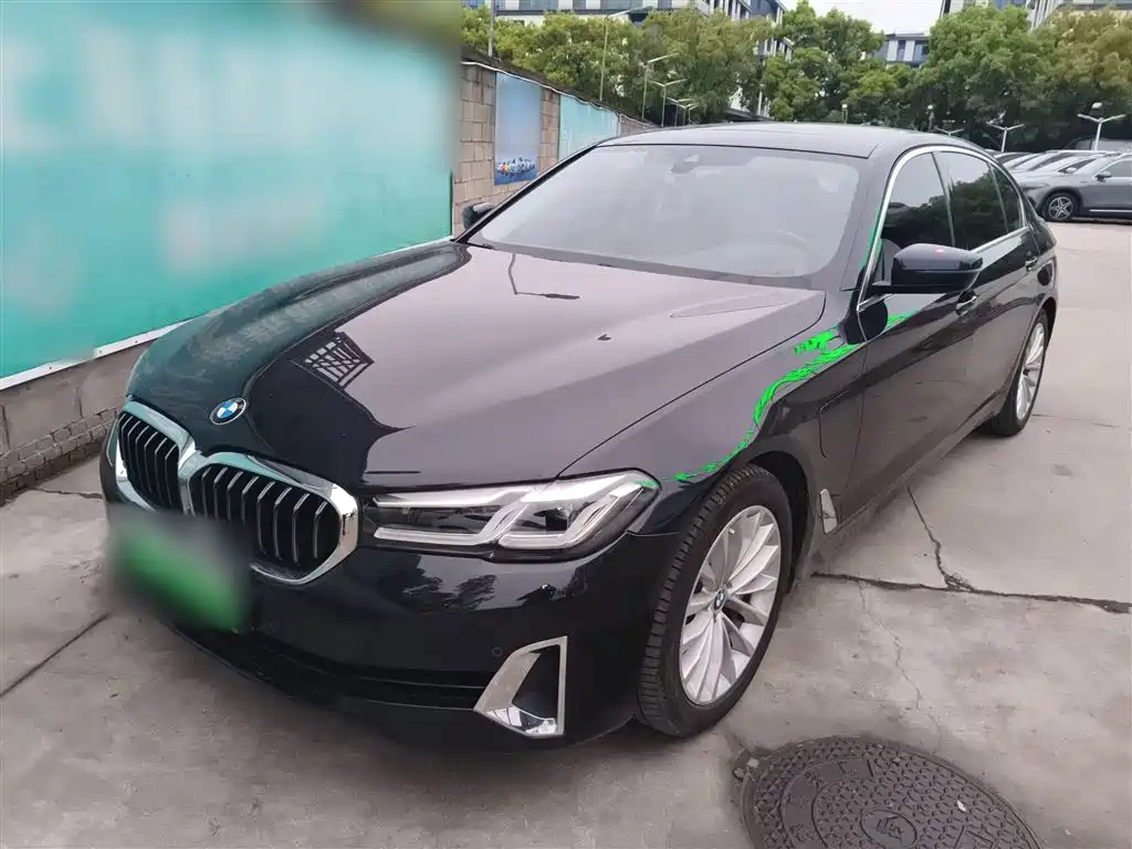 BMW 5 Series New Energy 2021