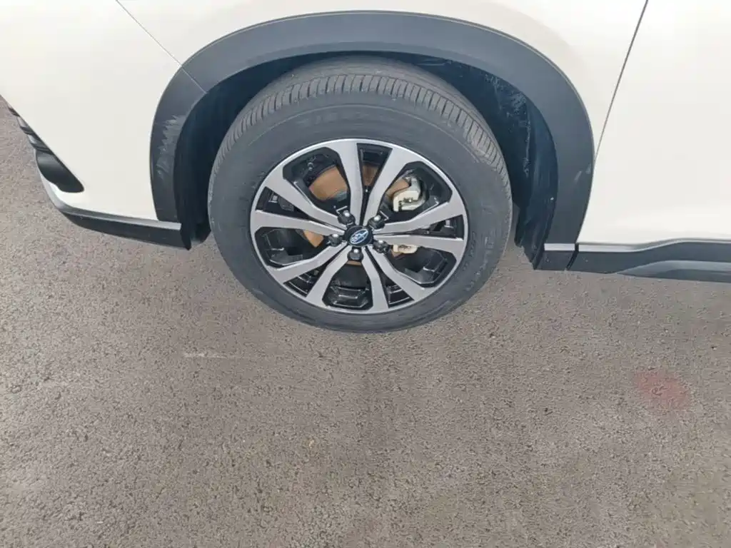 Subaru Forester — миниатюра 23