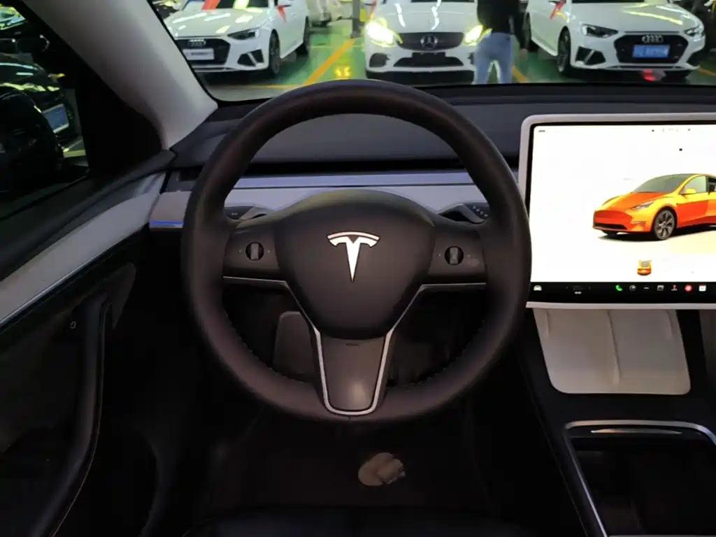 Tesla Model Y — миниатюра 11