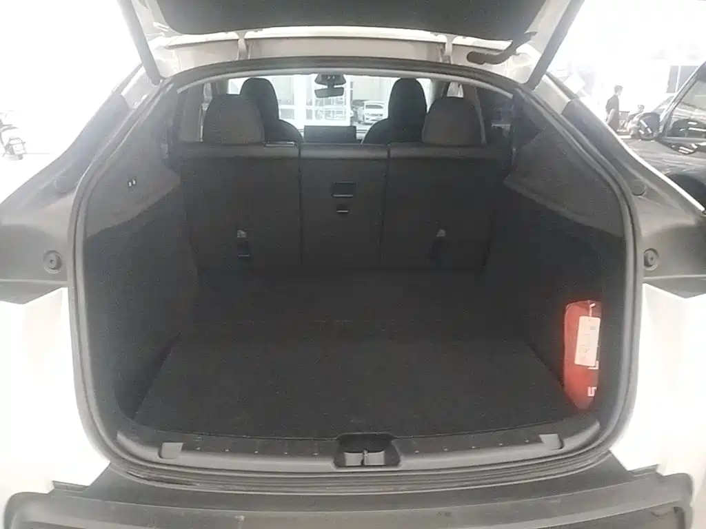Tesla Model Y — миниатюра 19