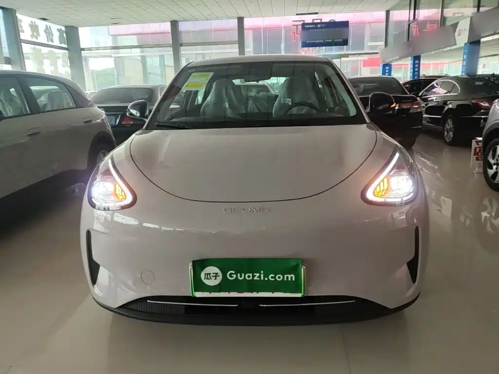 Geely Geome Xingyuan 2026 310km