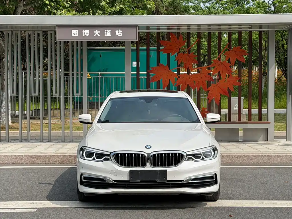 BMW 5 Series — миниатюра 2