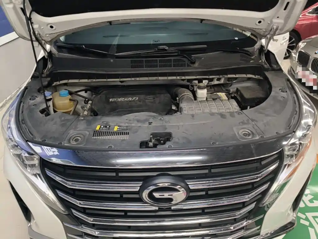 GAC Trumpchi M8 2021 — фото 19