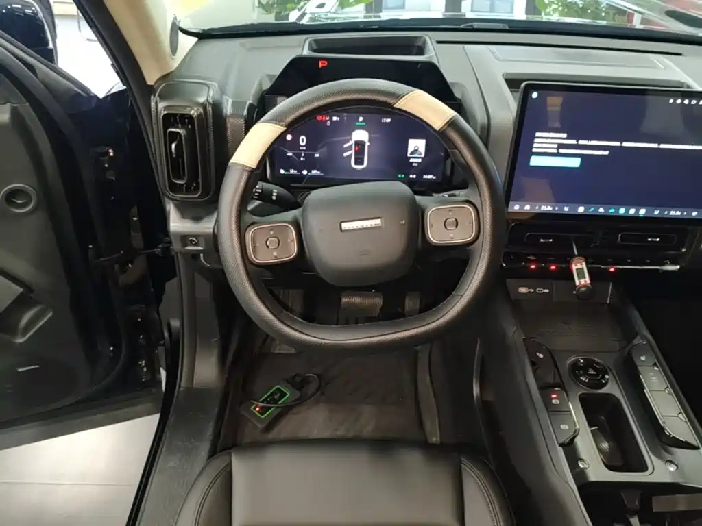 Haval Menglong New Energy — миниатюра 11