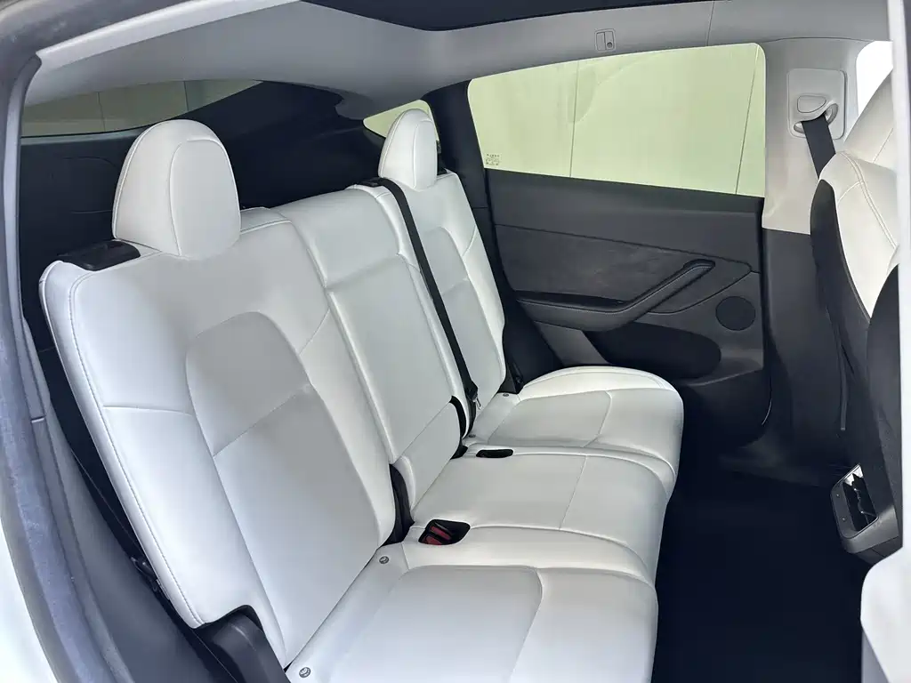Tesla Model Y — миниатюра 17