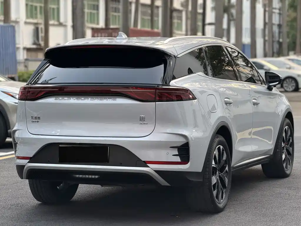 BYD Tang PHEV 2024 — фото 18