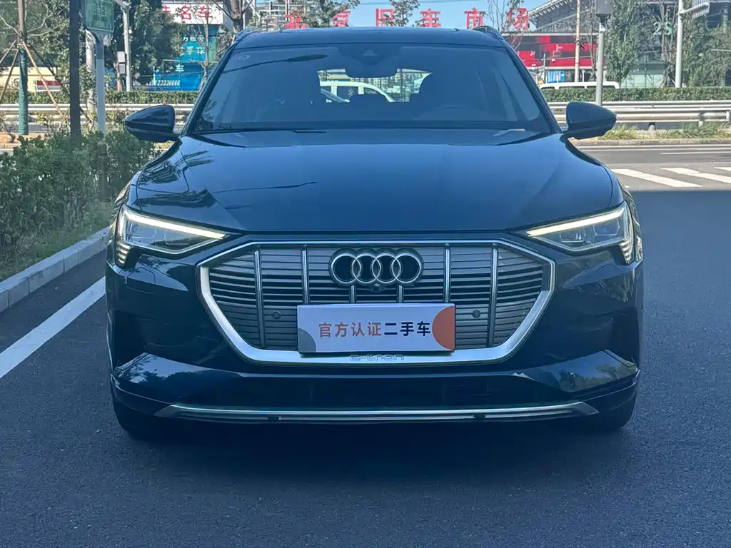Audi e-tron (Import) — миниатюра 2