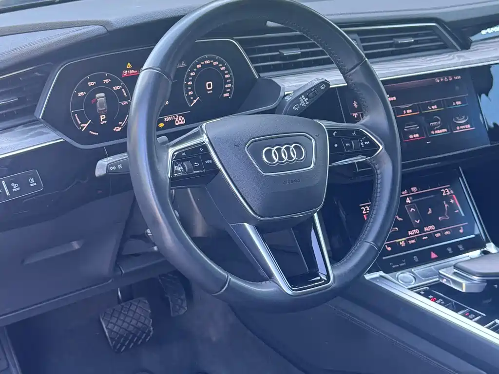 Audi e-tron (Import) — миниатюра 12