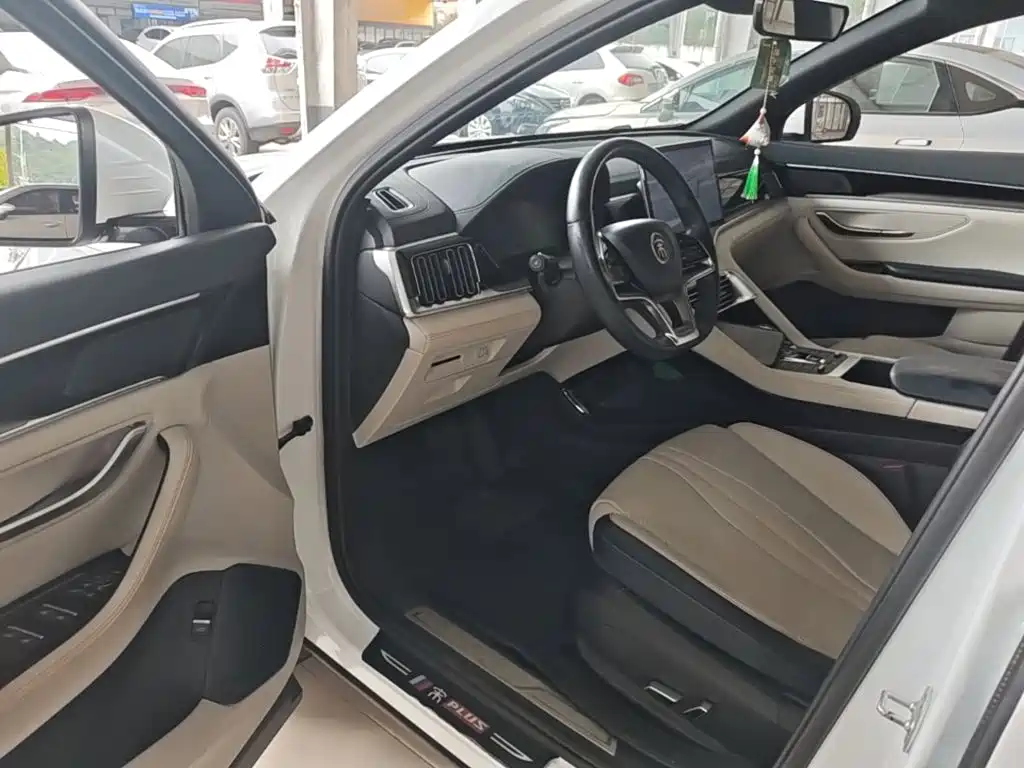 BYD PLUS New Energy — миниатюра 16