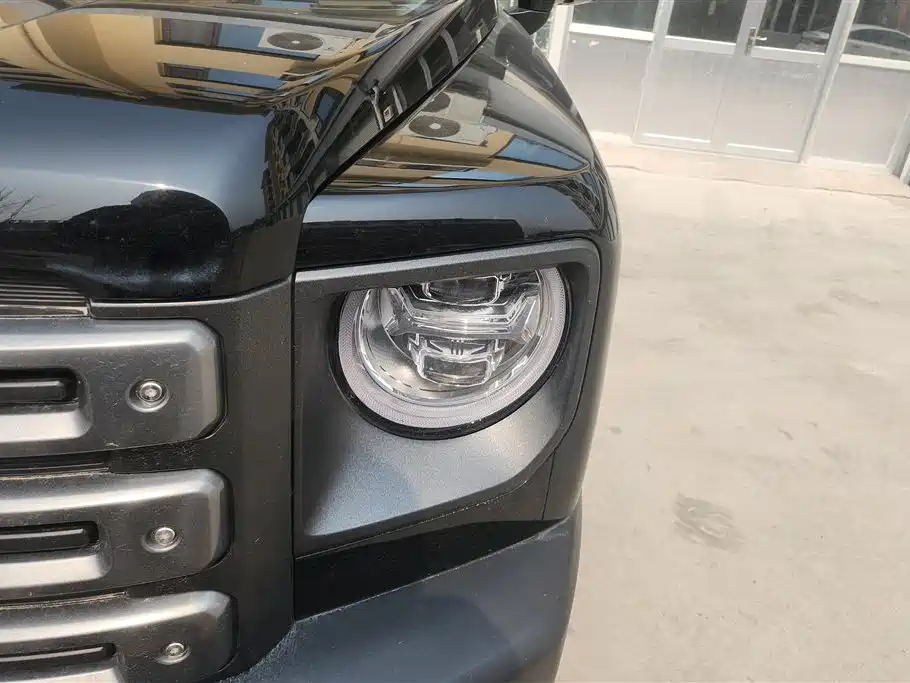 HAVAL RAPTORS NEW ENERGY