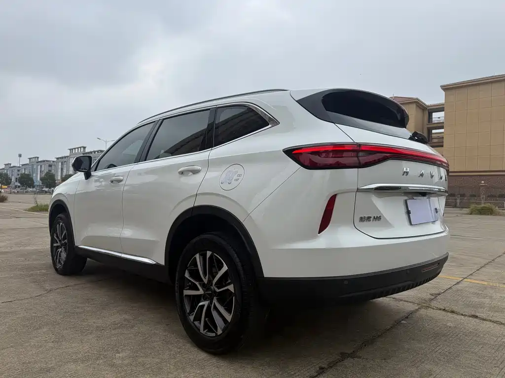 Haval H6 — миниатюра 8