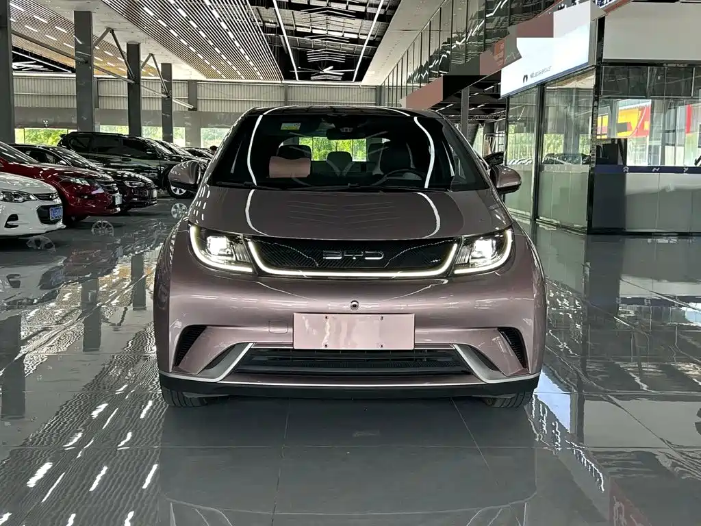 BYD Dolphin — миниатюра 2