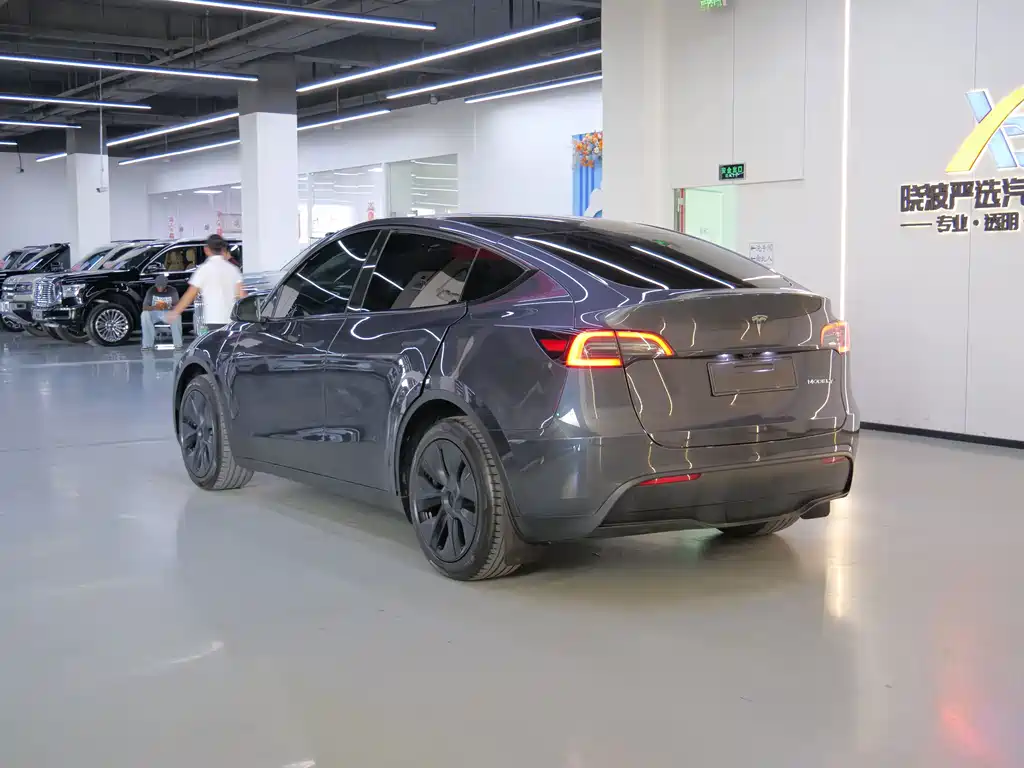 Tesla Model Y — миниатюра 5
