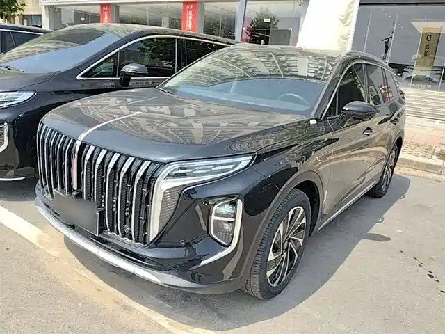2024 Hongqi HS7