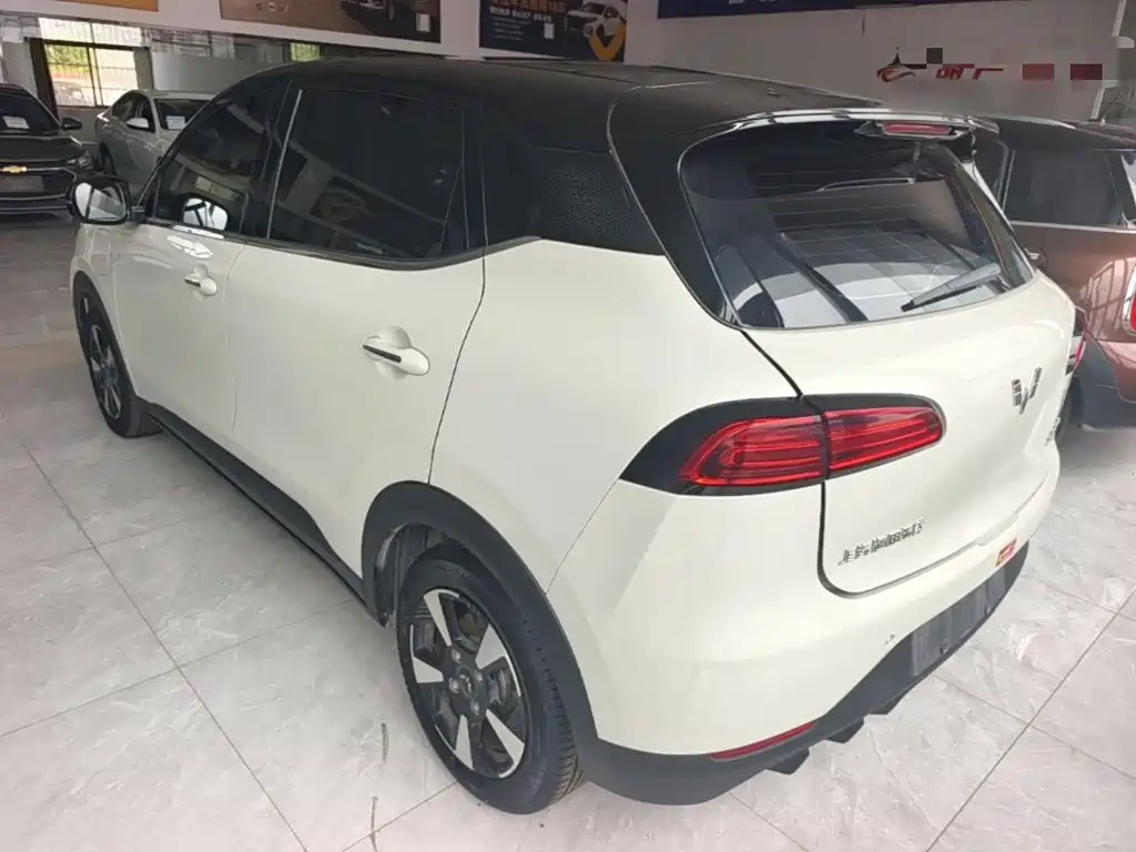 Wuling BinguoPLUS PLUS 2024 330km мест