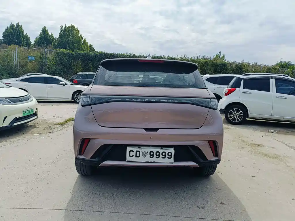 BYD Dolphin — миниатюра 8