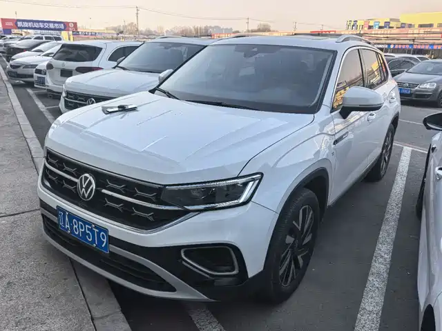 VOLKSWAGEN TANYUE