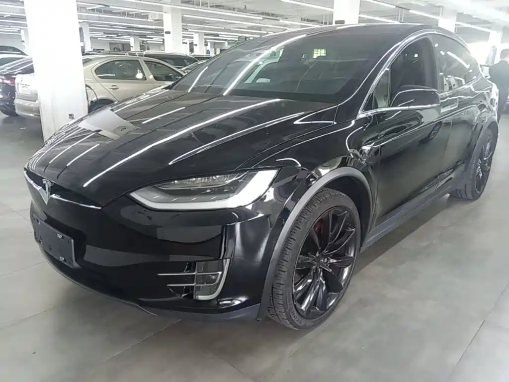 Tesla Model X — миниатюра 2