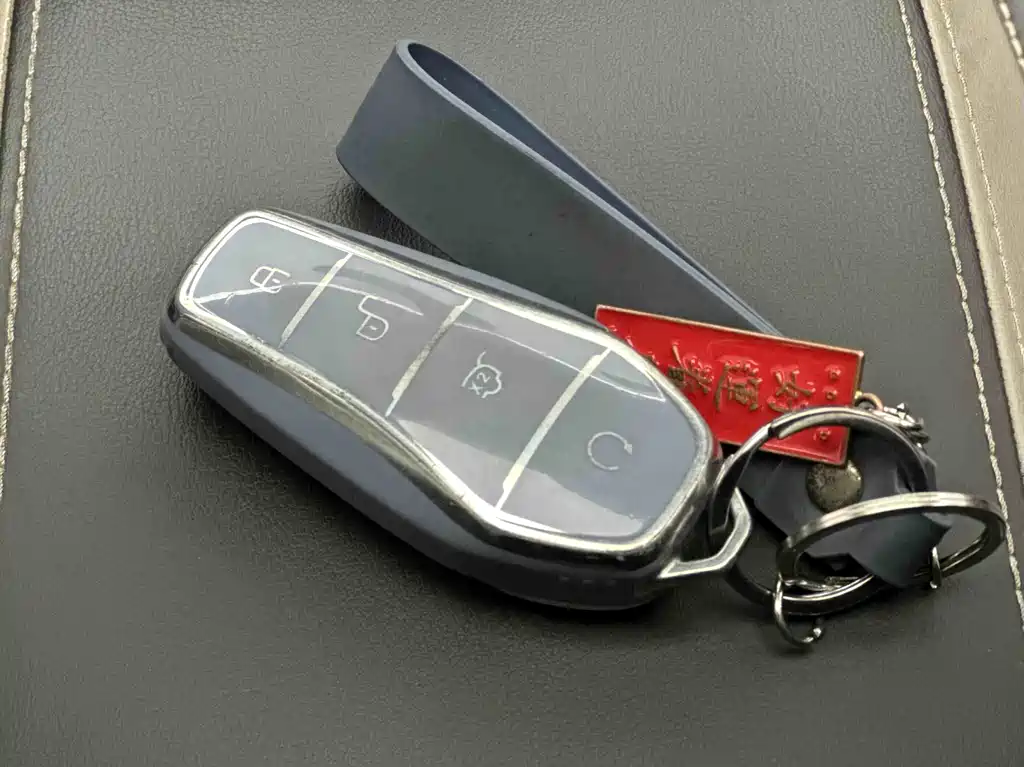 BYD SONGJIANG NEW ENERGY