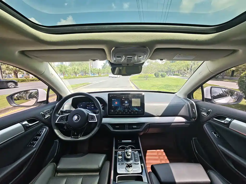 BYD Tang New Energy — миниатюра 11