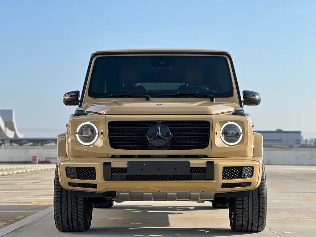 MERCEDES-BENZ G CLASS