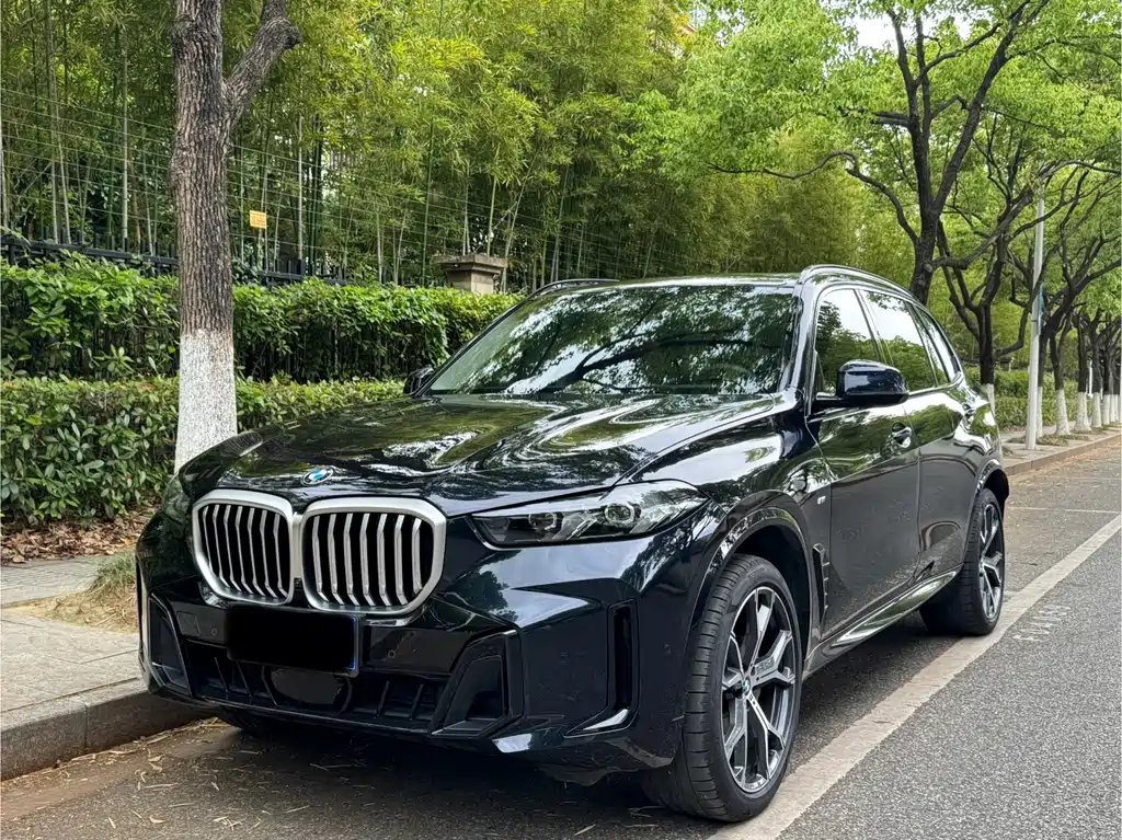 BMW X5 2024
