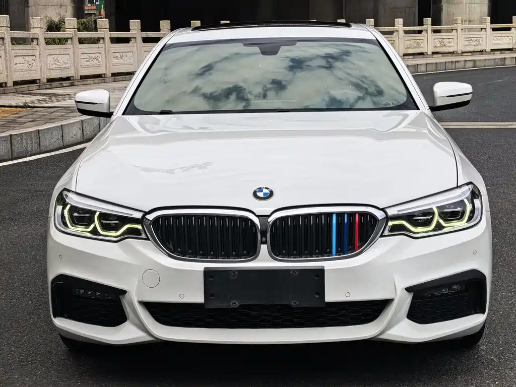 BMW 5 Series 5 2019 530Li Premium M Sport
