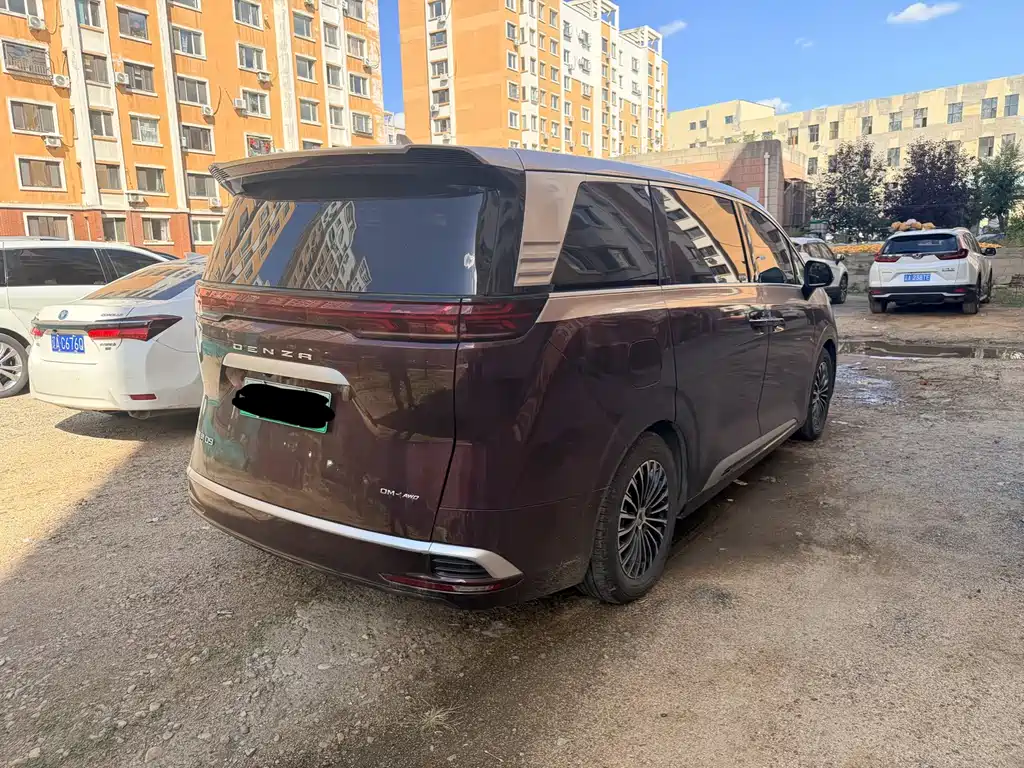 Denza Denza D9 — миниатюра 9