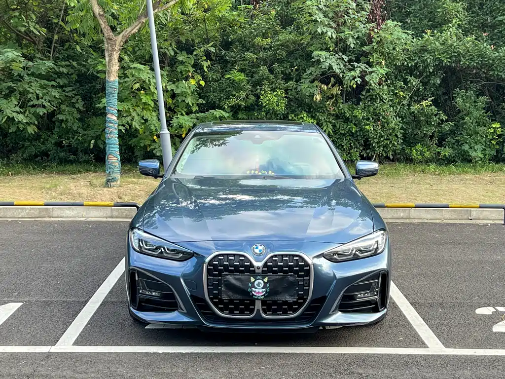 BMW 4 Series — миниатюра 2